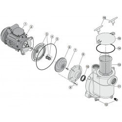 Schéma éclaté des pièces de rechange pour pompe 5P2R STA-RITE de Bwp. Différents composants, dont le moteur, la turbine, le joint et le boîtier, sont étiquetés avec des numéros correspondant à une liste de pièces. Illustre l'état démonté à des fins de maintenance ou d'instruction.